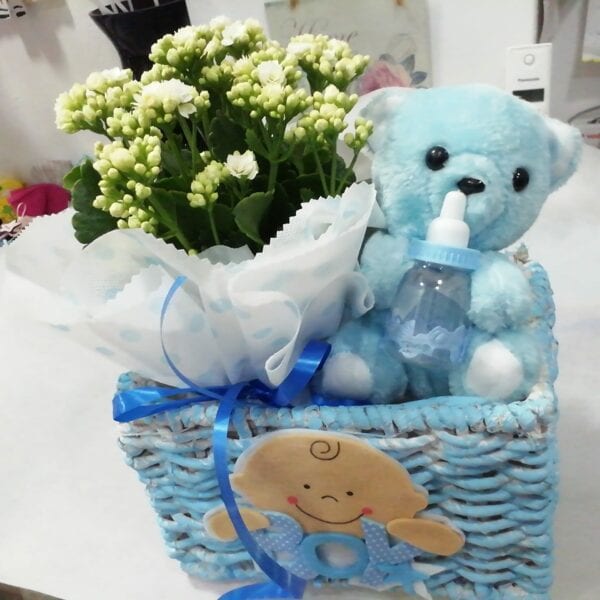 Καλάθι με φυτό