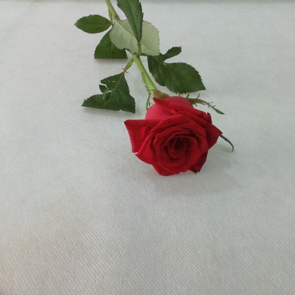 Κόκκινα τριαντάφυλλα