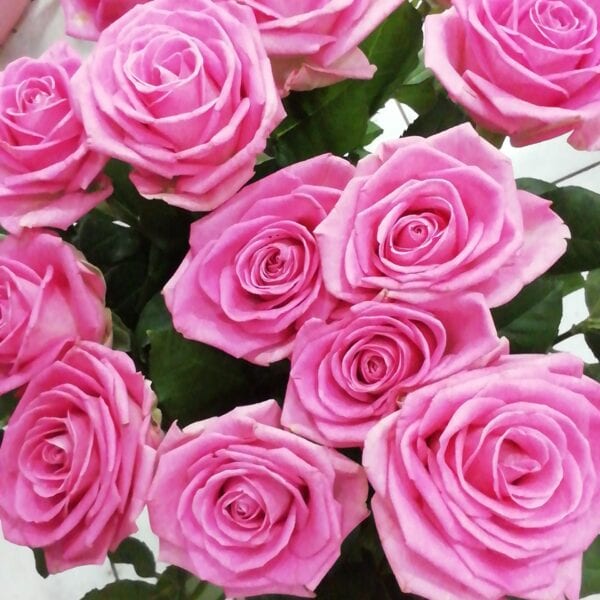 Roses σε μπουκέτο