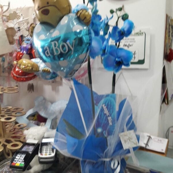 γέννηση δώρο