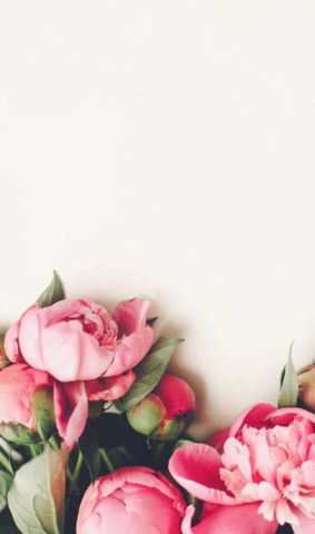 Le Fleuriste